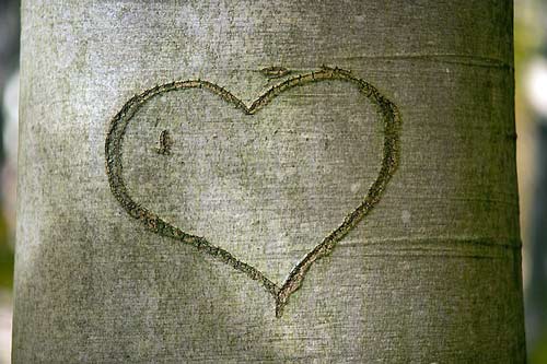 heart-carved